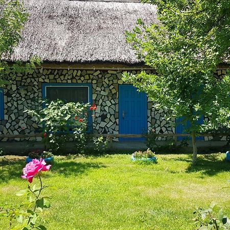 Pensiunea Iubire De Delta " La Traian " Murighiol Extérieur photo