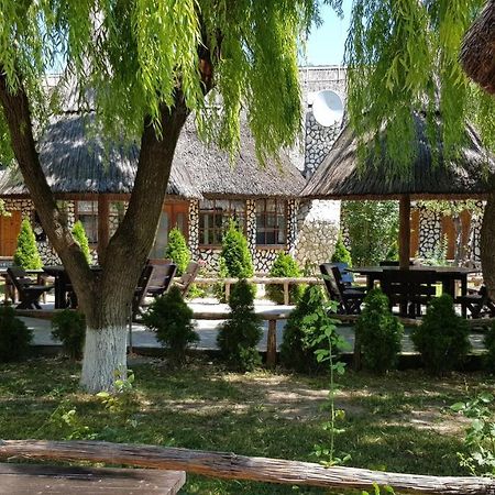 Pensiunea Iubire De Delta " La Traian " Murighiol Extérieur photo