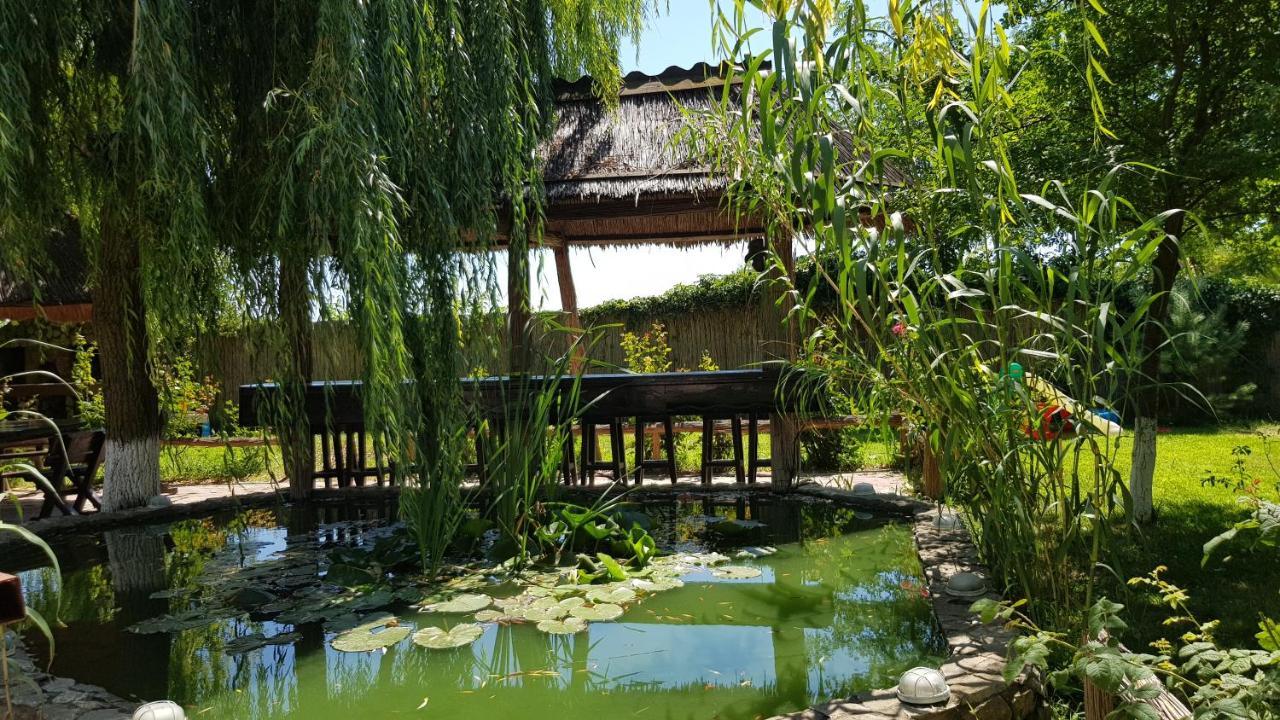 Pensiunea Iubire De Delta " La Traian " Murighiol Extérieur photo