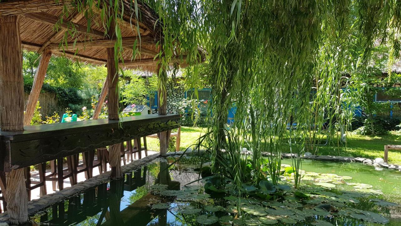 Pensiunea Iubire De Delta " La Traian " Murighiol Extérieur photo