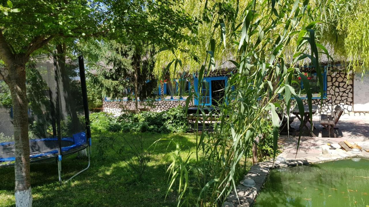 Pensiunea Iubire De Delta " La Traian " Murighiol Extérieur photo