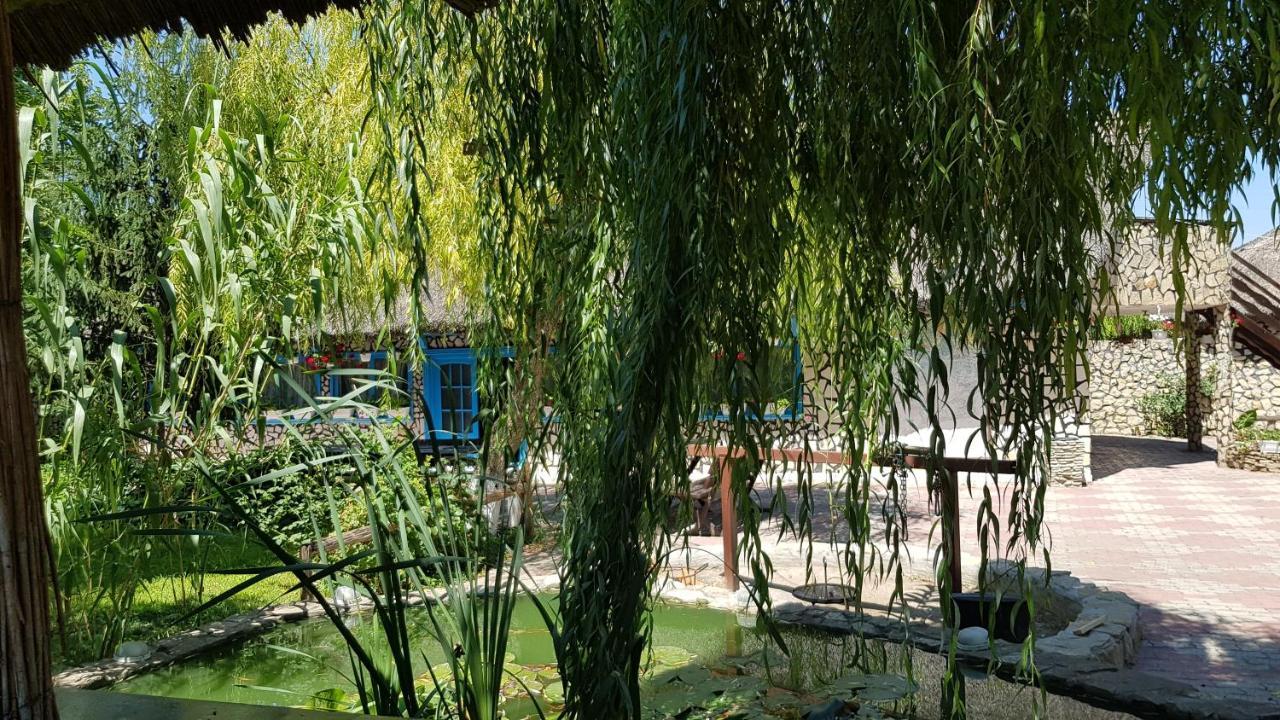 Pensiunea Iubire De Delta " La Traian " Murighiol Extérieur photo