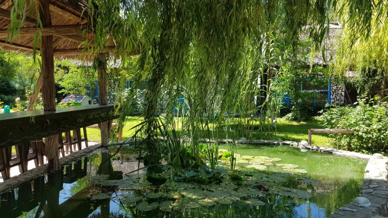 Pensiunea Iubire De Delta " La Traian " Murighiol Extérieur photo