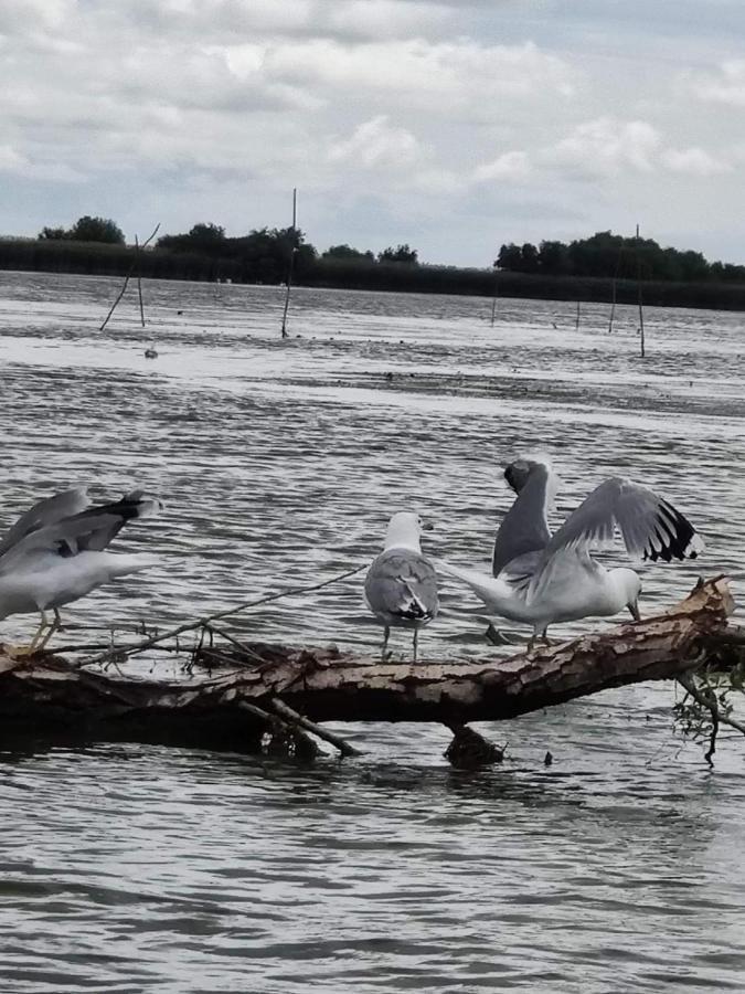 Pensiunea Iubire De Delta " La Traian " Murighiol Extérieur photo